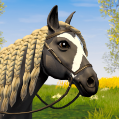 ‎Star Equestrian - Horse Ranch