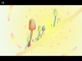 botanicula review ipad