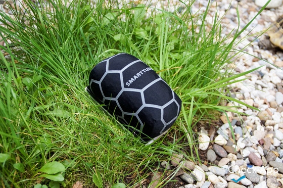 smarturtle