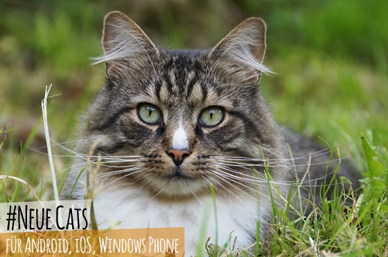 App Neuheiten der Woche für Android, iOS und Windows Phone