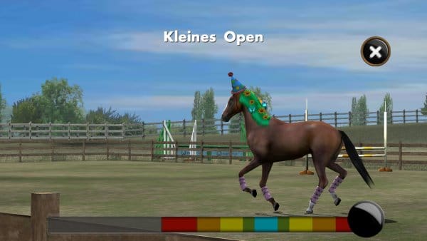 My Horse_Training