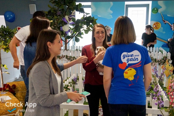 King_Studio_London_Farm_Heroes_Super_Saga