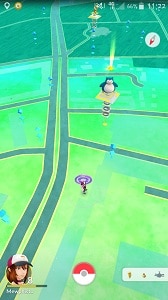 Pokémon_go_map