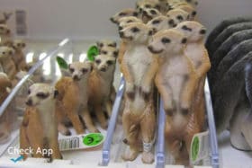 Klassenchats zeigen ein strukturelles Problem: Warum WhatsApp längst mehr als ein Messenger ist