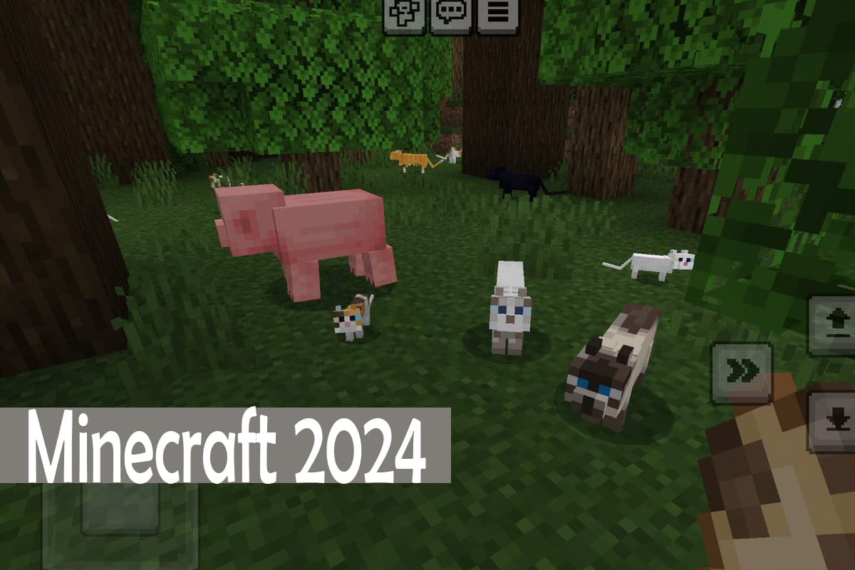 Miau? Neu bei Minecraft 2024! CheckApp